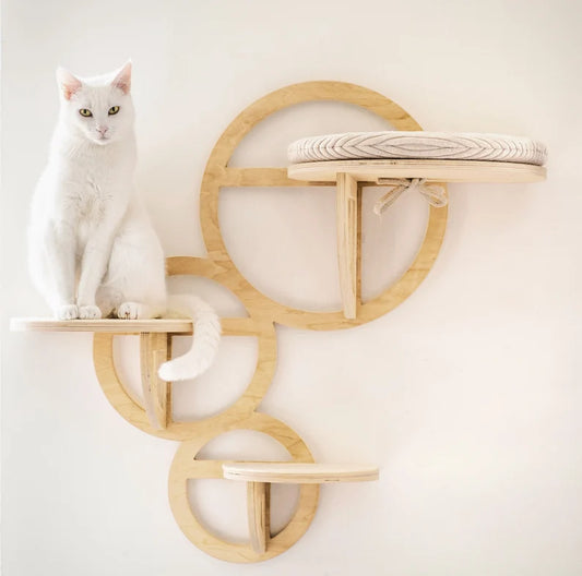 Modern Cat Wall Bed